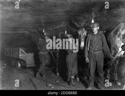 LEWIS HINE (1874-1940) American sociologist and photographer.    Child coal miners in South Pittson, Pennsylvania, in 1911 Stock Photo