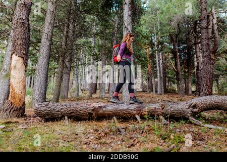 Female trekker balancing while walking on fallen tree in forest at La Pedriza, Madrid, Spain Stock Photo