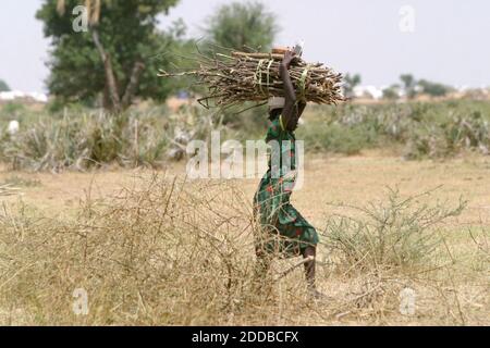 NO FILM, NO VIDEO, NO TV, NO DOCUMENTARY - A young girl carries a bundle of firewood outside of Kalma IDP camp in South Darfur, September 28, 2004. Many women are afraid to venture outside of the camp because of attacks by militia. Across Darfur, relief workers and refugees increasingly tell of rapes and beatings by the janjaweed who stalk women searching for firewood, creating a climate of fear and insecurity. Photo by Evelyn Hockstein/KRT/ABACA Stock Photo