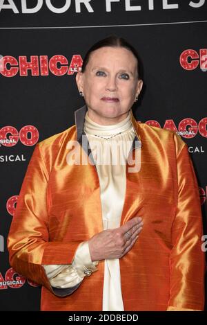Choregrapher Ann Reinking arriving to the premiere of Chicago The ...