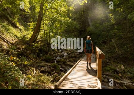 Female hiker crossing wooden bridge stretching over forest stream in summer Stock Photo