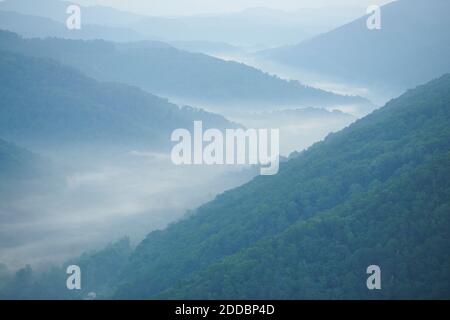 Aerial view of Appalachian forest shrouded in morning fog Stock Photo