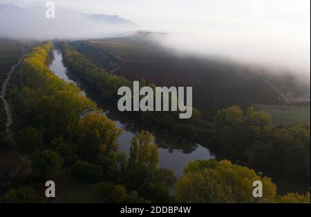 Scenic view of river by vineyard in foggy weather Stock Photo