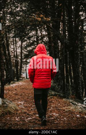 Young man wearing warm clothes walking in forest during winter Stock Photo