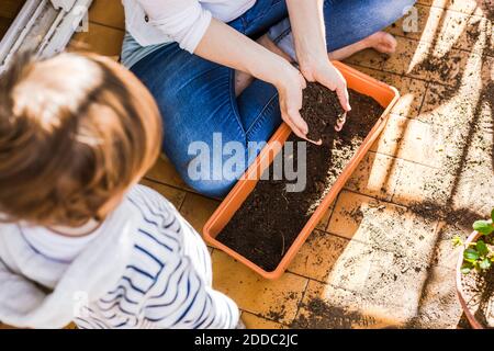 Boy standing by mother planting seed while sitting at balcony Stock Photo
