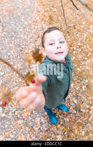 Boy plucking red berries from tree during autumn Stock Photo