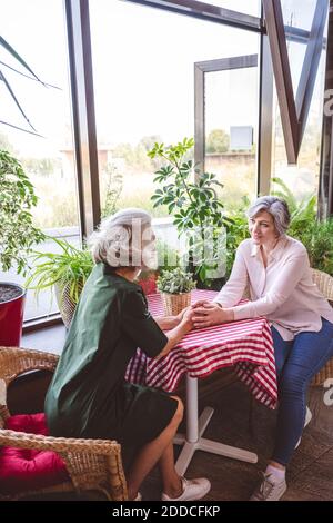 Female friends talking while holding hands sitting at restaurant Stock Photo