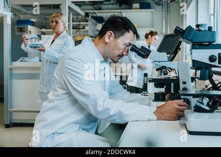 Male scientist sitting by microscope while coworker working in background at laboratory Stock Photo