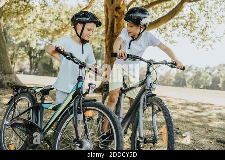 Brothers with bicycle standing in public park park on sunny day Stock Photo