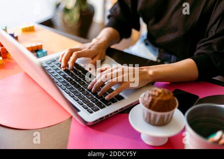 Female freelancer using laptop while sitting at home Stock Photo