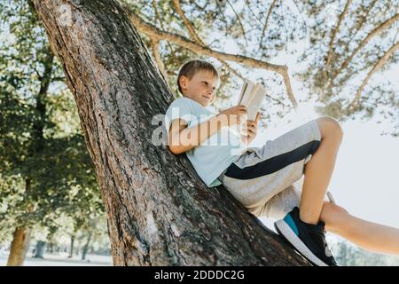 Boy reading book while lying on tree trunk in public park Stock Photo