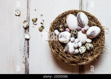 Birds nest filled with quail and Easter eggs Stock Photo