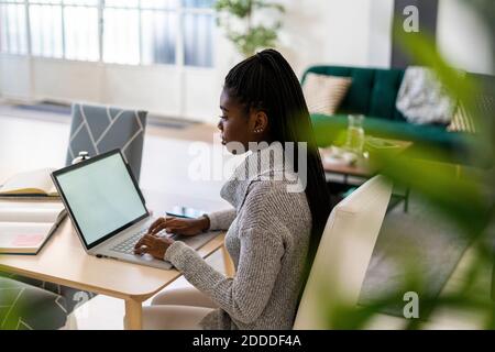 Female student concentrating while E-learning through laptop sitting at home Stock Photo
