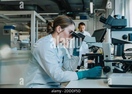 Young woman analyzing human brain microscope slide under microscope while sitting with scientists in background at laboratory Stock Photo