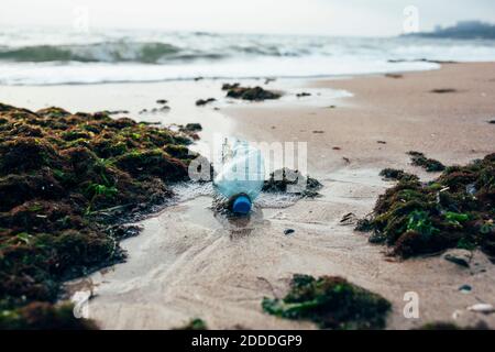 Garbage and water bottle on beach Stock Photo