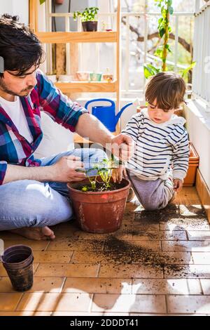 Man putting mud in strawberry plant pot while sitting by boy at balcony Stock Photo