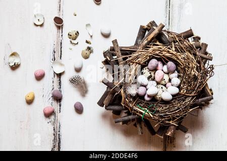 Birds nest filled with quail and Easter eggs Stock Photo