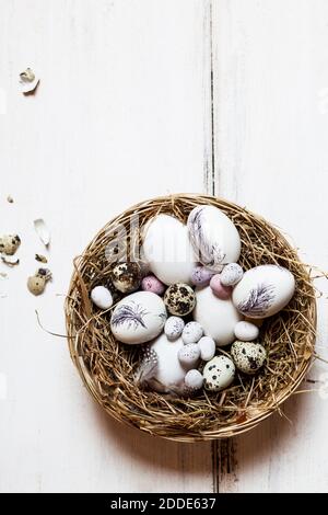 Birds nest filled with quail and Easter eggs Stock Photo