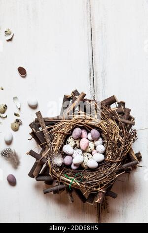 Birds nest filled with quail and Easter eggs Stock Photo