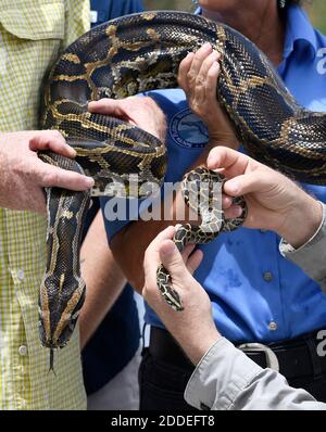 Florida Gov. Ron DeSantis, left, shakes hands with CNN's Anderson ...