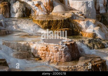 Canary Spring terraces and pools, Main Terrace, Mammoth Hot Springs, Yellowstone National Park, Wyoming, USA. Stock Photo