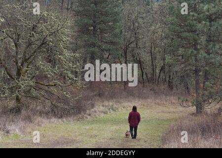 A man walking a dog alone on a trail near Eugene, Oregon. Stock Photo