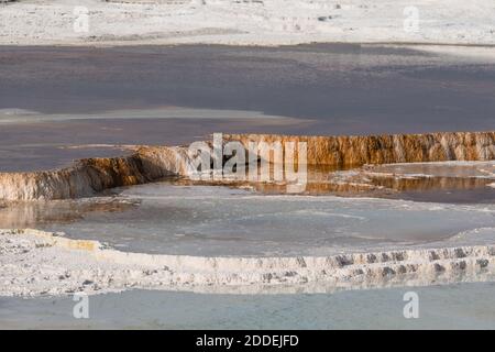 Canary Spring terraces and pools, Main Terrace, Mammoth Hot Springs, Yellowstone National Park, Wyoming, USA. Stock Photo