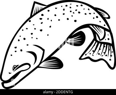 Steelhead Trout Vector Illustration Stock Vector Image & Art - Alamy