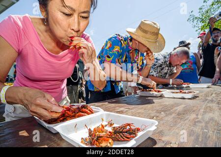 Florida Ft. Fort Lauderdale Cajun Zydeco Crawfish Festival,celebration fair event food eating contest,Asian woman, Stock Photo