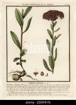 Herbier de la France, Paris, Chez l'auteur, Didot, Debure, Belin, 1780 ...