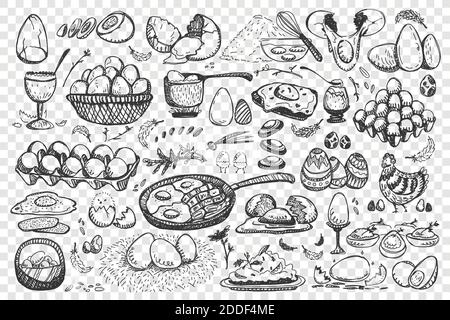 Chicken eggs doodle set. Collection of healthy meal fried scrabled hen product egg breakfast food nutrition isolated on transparent background. Easter symbol celebration illustration. Stock Vector