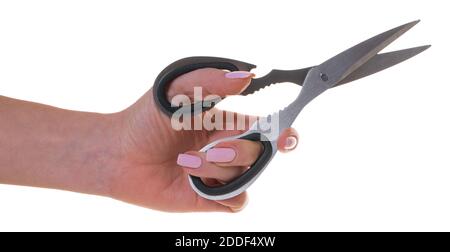 kitchen scissors in female hand on white isolated background Stock Photo