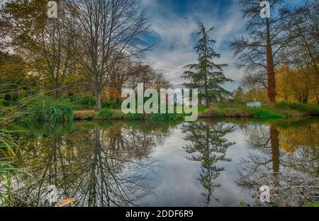 Autumn colours in Morden Hall Park, south west London, with the river Wandle reflecting woodland trees. Stock Photo