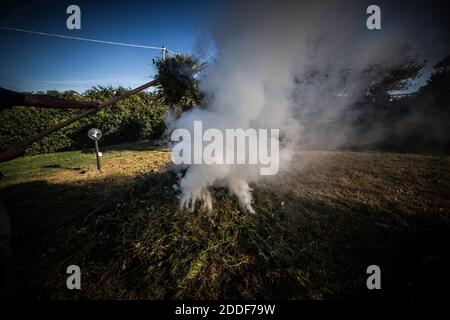 Fire smoke in the countryside Stock Photo