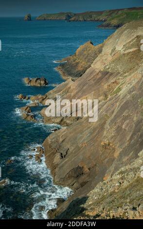 Island at Martin's Haven, Pembrokeshire coast national park, Wales ...