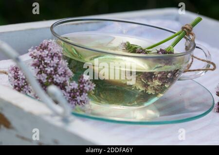 Baldrian-Tee, Baldriantee, Tee aus Baldrian-Blüten, Baldrianblüten, Heiltee, Kräutertee, Blütentee, Beruhigungstee, Echter Baldrian, Baldrian, Großer Stock Photo