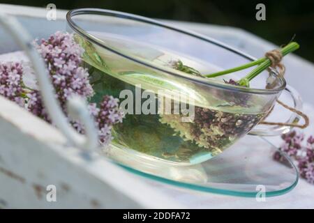 Baldrian-Tee, Baldriantee, Tee aus Baldrian-Blüten, Baldrianblüten, Heiltee, Kräutertee, Blütentee, Beruhigungstee, Echter Baldrian, Baldrian, Großer Stock Photo
