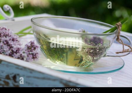 Baldrian-Tee, Baldriantee, Tee aus Baldrian-Blüten, Baldrianblüten, Heiltee, Kräutertee, Blütentee, Beruhigungstee, Echter Baldrian, Baldrian, Großer Stock Photo