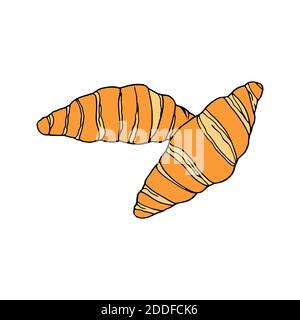 Vector hand drawn croissant. French cuisine dessert. Design sketch element for menu cafe, bistro, restaurant, bakery, label and packaging. Colorful il Stock Vector