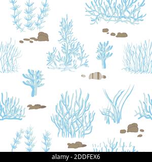blue, pink corals on a white background. Vector seamless pattern with tropical reef. Stock Vector