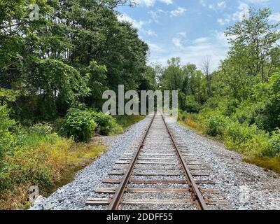 A railroad going through the forest on a cloudy day Stock Photo