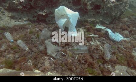 Massive plastic pollution of the ocean bottom. Seabed covered with a lot of plastic garbage. Bottles, bags and other plastic debris on seabed in Medit Stock Photo