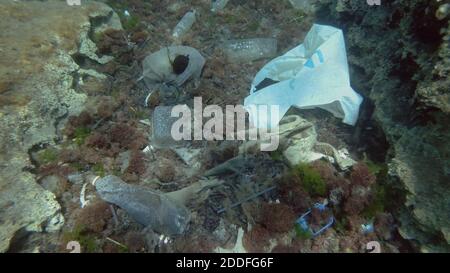 Massive plastic pollution of the ocean bottom. Seabed covered with a lot of plastic garbage. Bottles, bags and other plastic debris on seabed in Medit Stock Photo