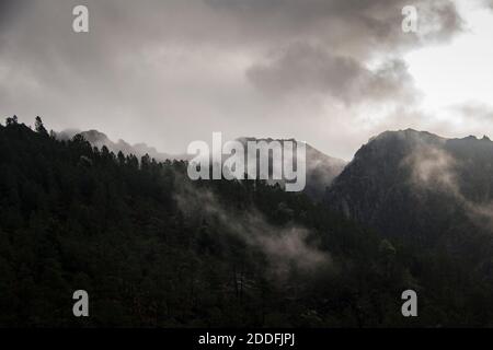 Mountain landscape with pine trees on a dense foggy day with dark clouds Stock Photo