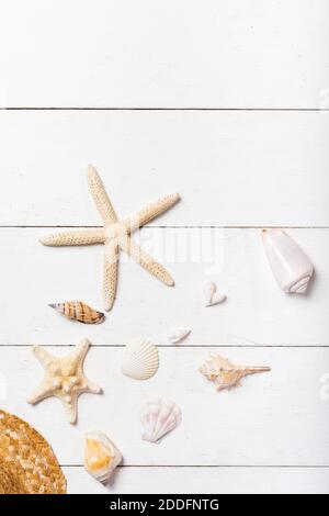 A vertical flat lay of starfish and seashells on a white wooden floor -concept of summer in the beach Stock Photo