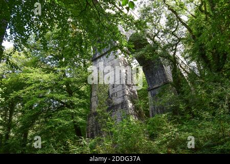 Teffry Viaduct, Luxulyan Valley 100920 Stock Photo