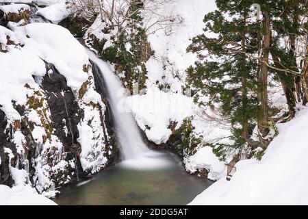 Shirogane Falls in winter near Obanazawa, Yamagata Prefecture, Japan hot springs town in winter season. Stock Photo