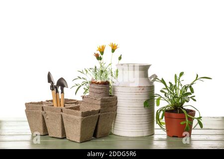 Gardening tools and pots flowers on white background Stock Photo