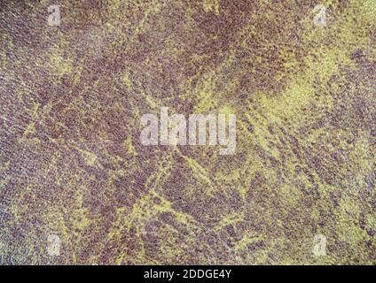 Texture and surface of brown color leather Stock Photo