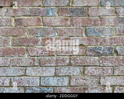 weathered white wash vintage old brick wall closeup view with deep shadows and details as backdrop background for website architecture presentation sc Stock Photo